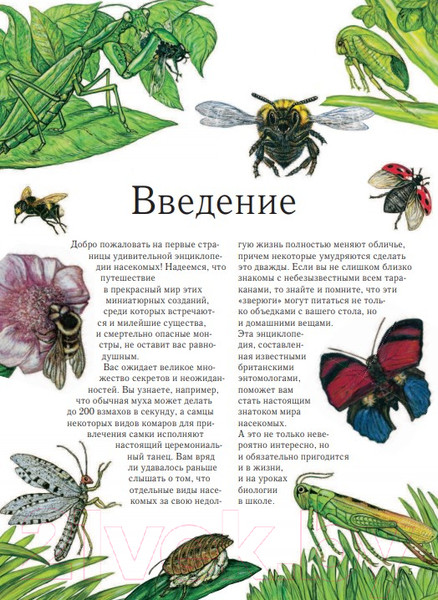 Изображение товара Энциклопедия Эксмо Насекомые. Полная энциклопедия (Грин Т.)
