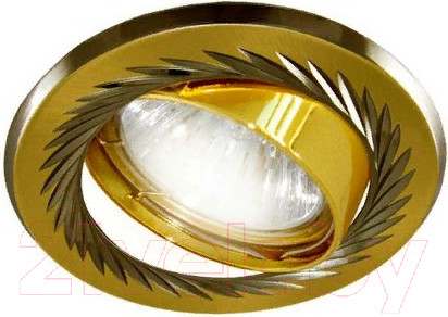 Изображение товара Точечный светильник TDM SQ0359-0005