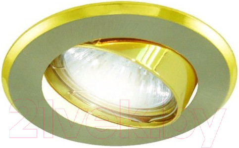 Изображение товара Точечный светильник TDM SQ0359-0009