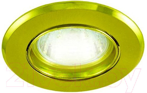 Изображение товара Точечный светильник TDM SQ0359-0021