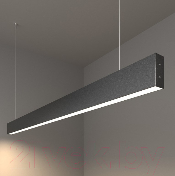 Изображение товара Потолочный светильник Elektrostandard 101-200-30-128 25W 4200K (черная шагрень)