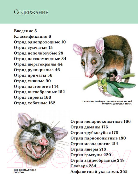 Изображение товара Энциклопедия Эксмо Животные. Полная энциклопедия (Школьник Ю.К.)