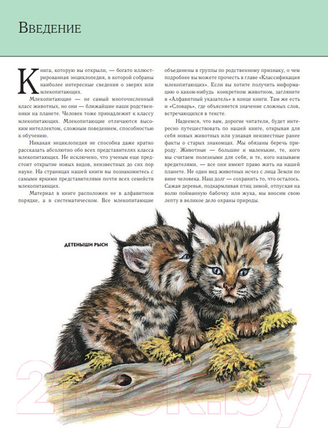 Изображение товара Энциклопедия Эксмо Животные. Полная энциклопедия (Школьник Ю.К.)