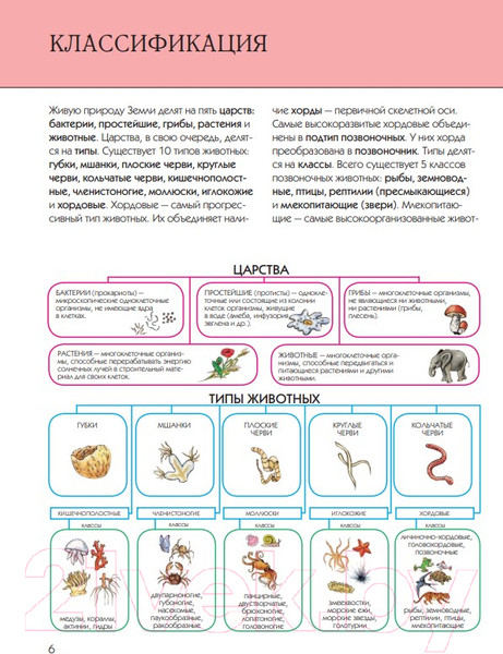 Изображение товара Энциклопедия Эксмо Животные. Полная энциклопедия (Школьник Ю.К.)