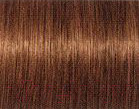 Изображение товара Крем-краска для волос Schwarzkopf Professional Igora Royal Absolutes 7-60 (60мл)