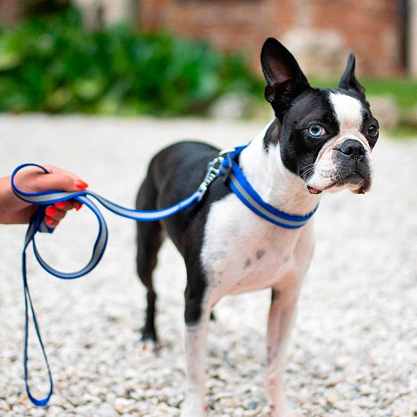 Изображение товара Поводок Ferplast Club Reflex 20/120 со светоотражающей полоской / 75250622 (красный)