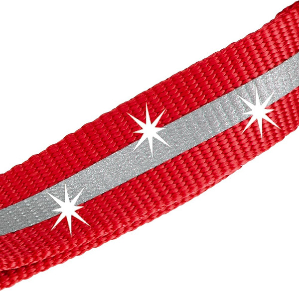 Изображение товара Поводок Ferplast Club Reflex 20/120 со светоотражающей полоской / 75250622 (красный)