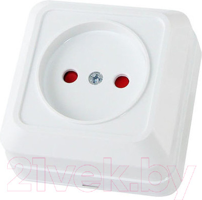 Изображение товара Розетка TDM Ладога SQ1801-0059 (белый)