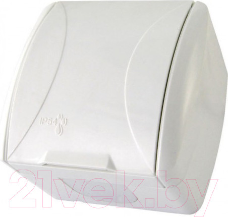 Изображение товара Розетка TDM Селигер SQ1818-0013 (белый)