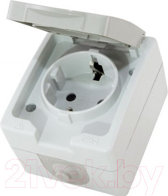 Изображение товара Розетка TDM Вуокса SQ1803-0007