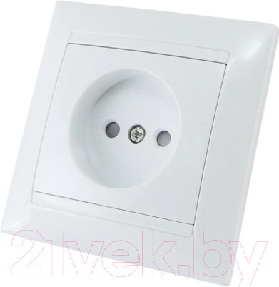 Изображение товара Розетка TDM Лама SQ1815-0010 (белый)