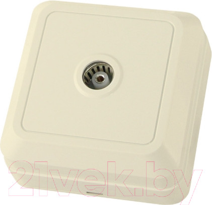 Изображение товара Розетка TDM Ладога SQ1801-0026 (слоновая кость)