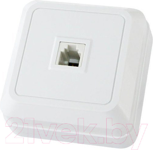 Изображение товара Розетка TDM Ладога SQ1801-0021 (белый)