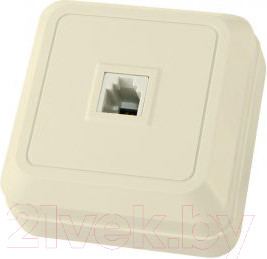 Изображение товара Розетка TDM Ладога SQ1801-0023 (слоновая кость)