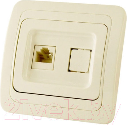 Изображение товара Розетка TDM Валдай SQ1804-0113 (слоновая кость)