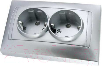 Изображение товара Розетка TDM Лама SQ1815-0213 (серебристый металлик)