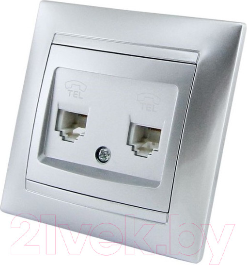 Изображение товара Розетка TDM Лама SQ1815-0218 (серебристый металлик)