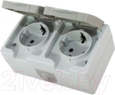 Изображение товара Розетка TDM Вуокса SQ1803-0008