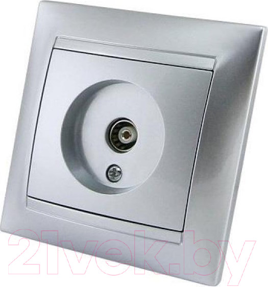 Изображение товара Розетка TDM Лама SQ1815-0217 (серебристый металлик)