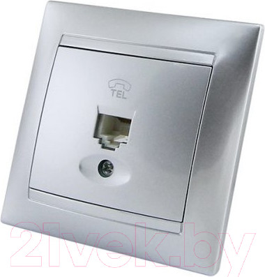 Изображение товара Розетка TDM Лама SQ1815-0215 (серебристый металлик)