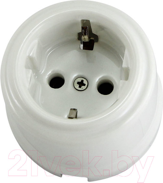 Изображение товара Розетка TDM Болонь SQ1820-0007 (белый)