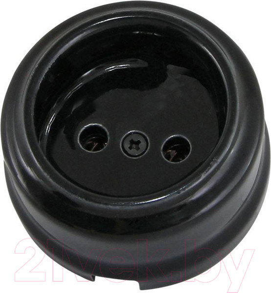 Изображение товара Розетка TDM Болонь SQ1820-0005 (черный)