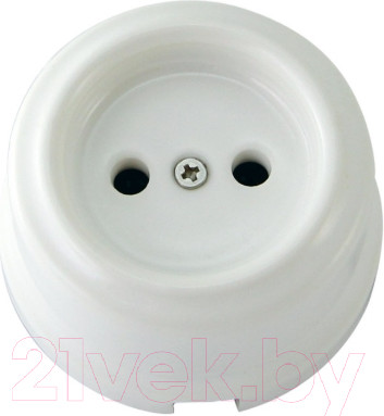 Изображение товара Розетка TDM Болонь SQ1820-0004 (белый)