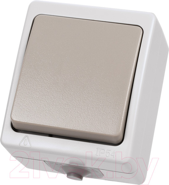 Изображение товара Выключатель TDM Вуокса SQ1803-0003