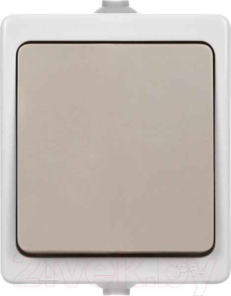 Изображение товара Выключатель TDM Вуокса SQ1803-0003