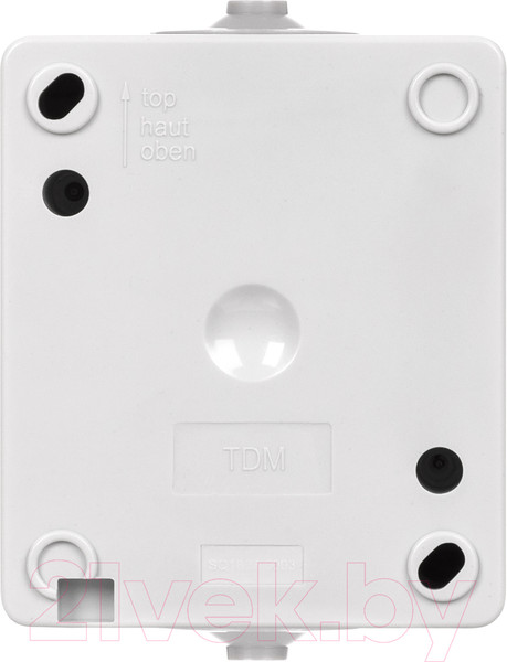 Изображение товара Выключатель TDM Вуокса SQ1803-0003