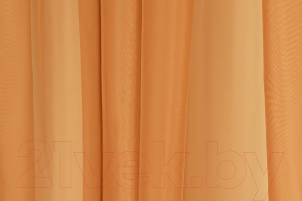 Изображение товара Гардины Delfa СТШ/Д-050 Voile/8819 (200x250, оранжевый)