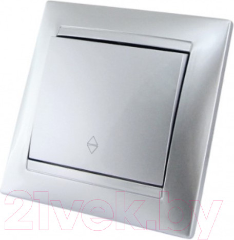 Изображение товара Выключатель TDM Лама SQ1815-0206 (серебристый металлик)