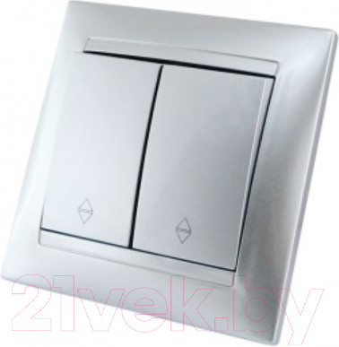 Изображение товара Выключатель TDM Лама SQ1815-0207 (серебристый металлик)