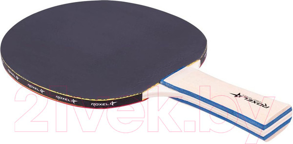 Изображение товара Ракетка для настольного тенниса Roxel Hobby Progress (коническая)