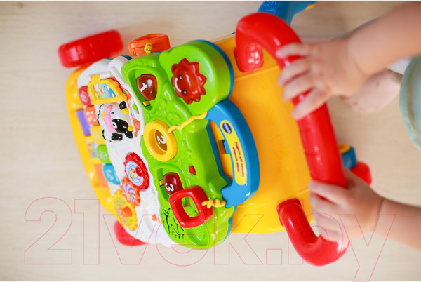 Изображение товара Ходунки-каталка Vtech Первые шаги / 80-077026