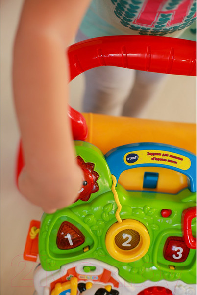 Изображение товара Ходунки-каталка Vtech Первые шаги / 80-077026