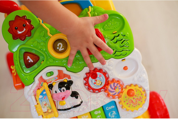 Изображение товара Ходунки-каталка Vtech Первые шаги / 80-077026