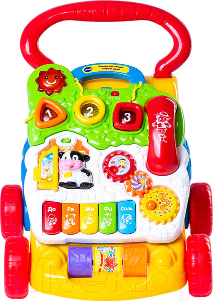 Изображение товара Ходунки-каталка Vtech Первые шаги / 80-077026