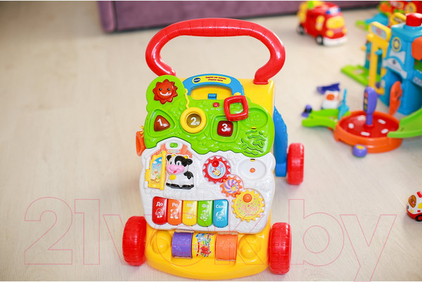 Изображение товара Ходунки-каталка Vtech Первые шаги / 80-077026