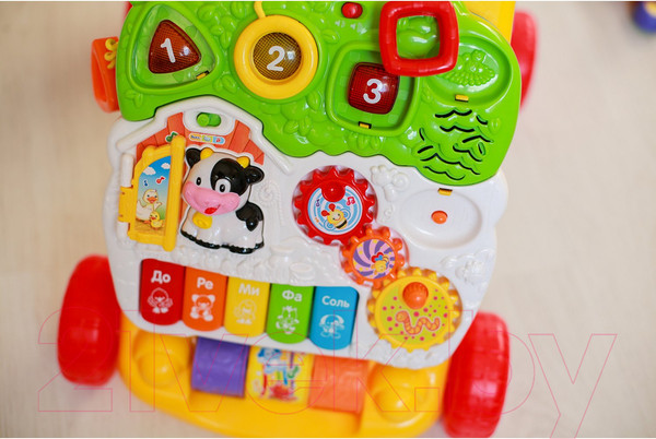 Изображение товара Ходунки-каталка Vtech Первые шаги / 80-077026