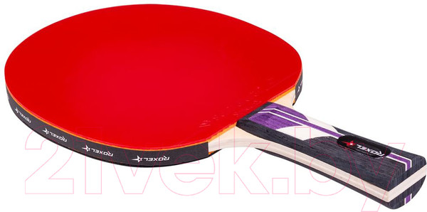 Изображение товара Ракетка для настольного тенниса Roxel Stellar (коническая)