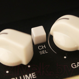 Изображение товара Комбоусилитель Cort CM30R DB