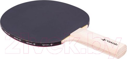 Изображение товара Набор для настольного тенниса Roxel Hobby Start