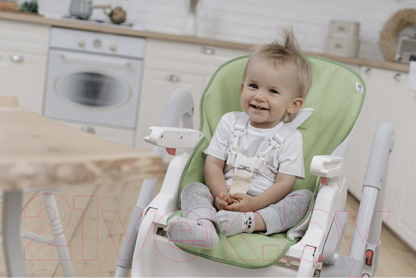 Изображение товара Вкладыш в стульчик для кормления Roxy-Kids RCL-013G (зеленый)