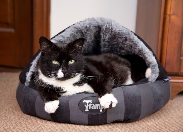 Изображение товара Лежанка для животных Tramps Aristocat Dome Bed / 932862/BL (черный)