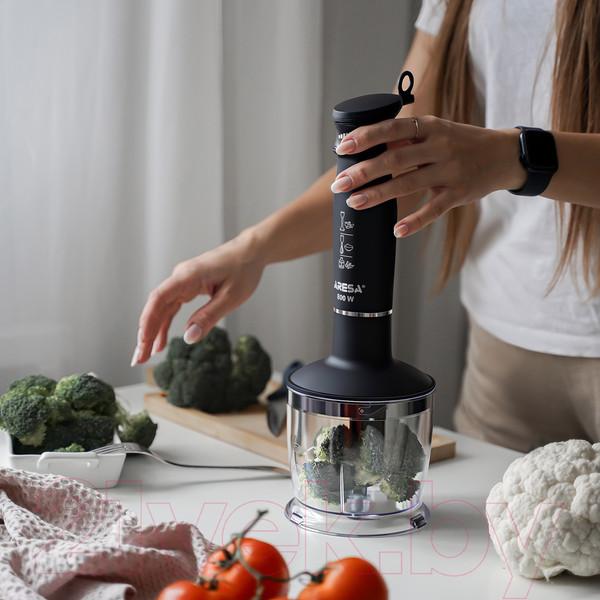 Изображение товара Блендер погружной Aresa AR-1117