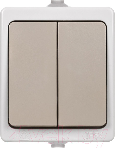 Изображение товара Выключатель TDM Вуокса SQ1803-0002