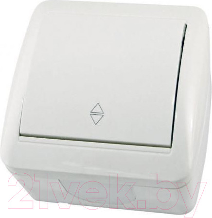 Изображение товара Выключатель TDM Селигер SQ1818-0011 (белый)