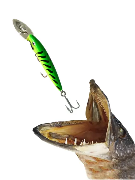 Изображение товара Воблер Rapala Countdown Magnum / CDMAG11-FT