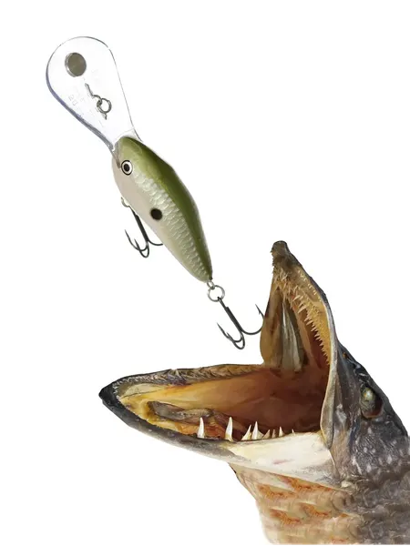 Изображение товара Воблер Rapala DT Metal SureSet / DTMSS20-PGS